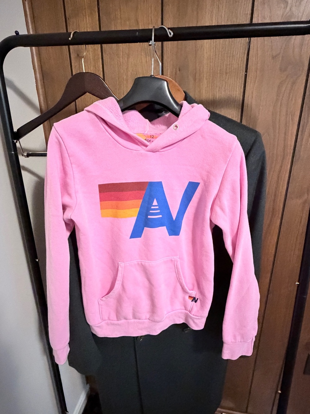 Aviator Nation Pink Hoodie